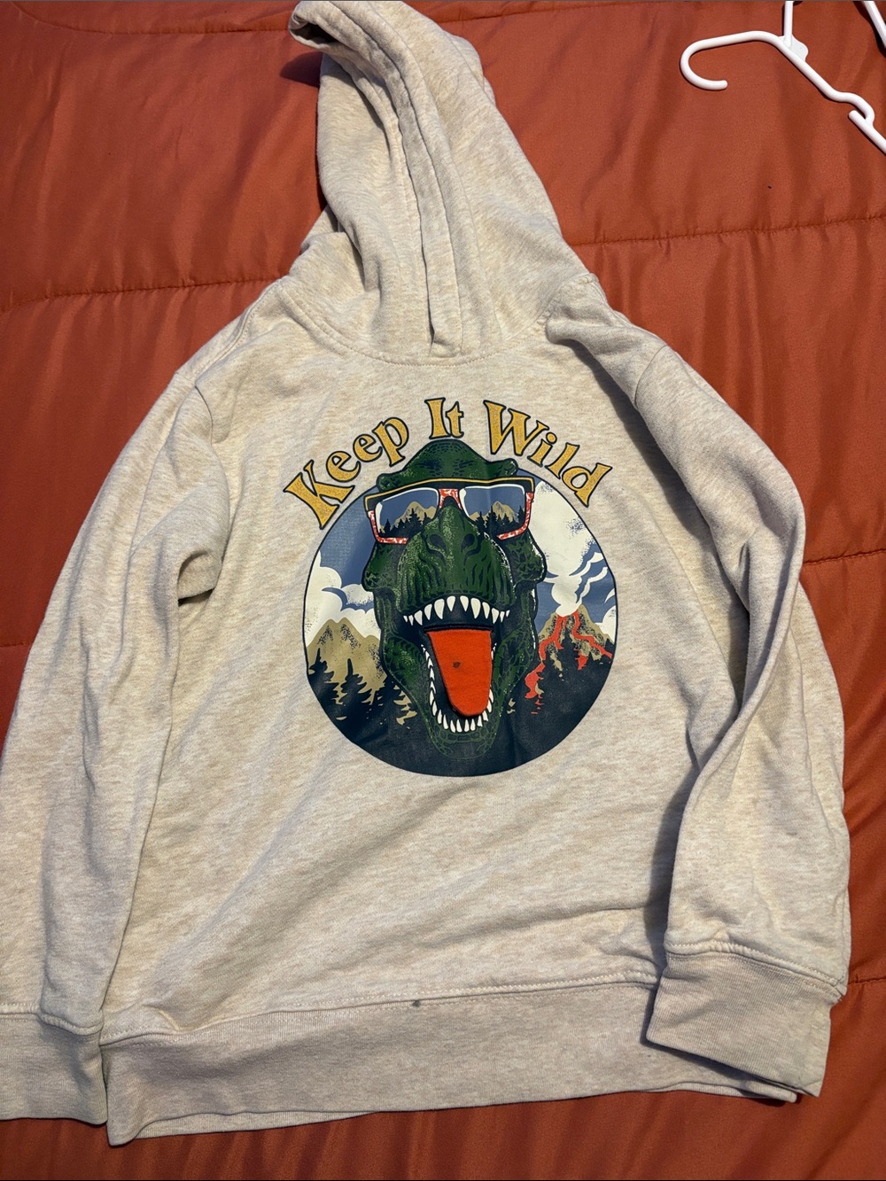 Hoodie dinosaur size 8